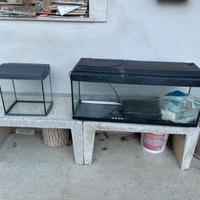 Acquario 30 litri e 105 litri