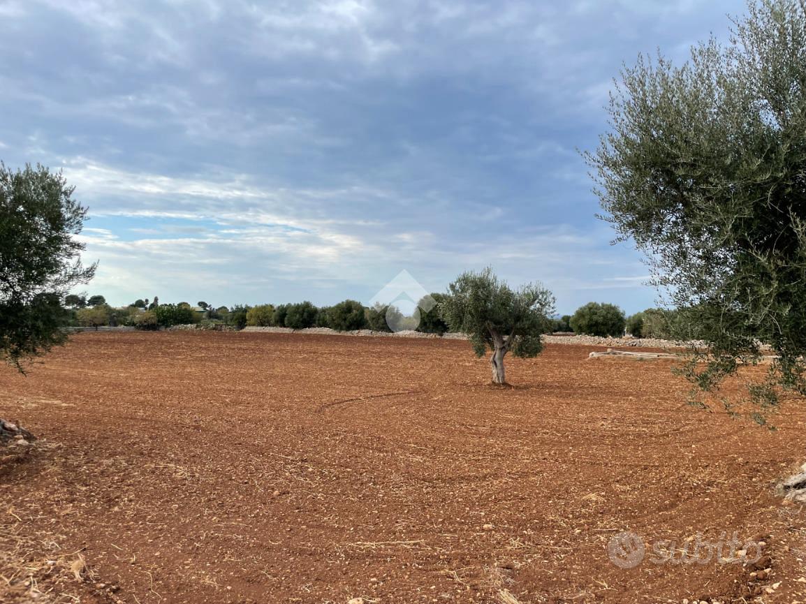 TER. AGRICOLO A POLIGNANO A MARE - Vista 3