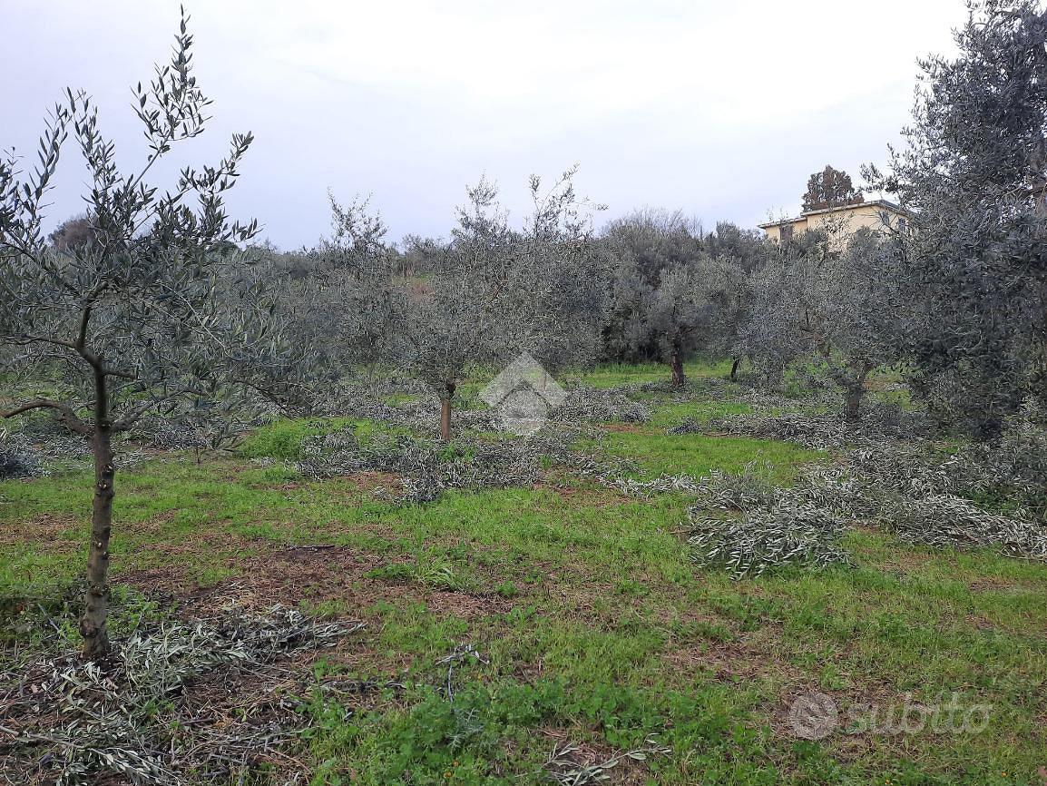 TER. AGRICOLO A VELLETRI - Ansicht 2