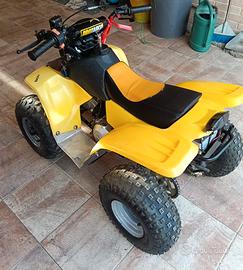 Mini quad