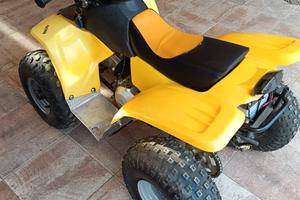 Mini quad