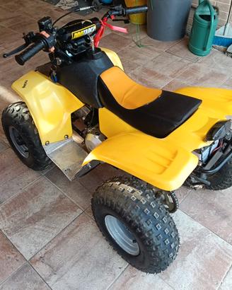 Mini quad
