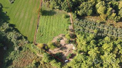 Casa RURALE con ampio terreno e alberi da frutto