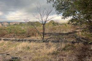 Rif.DR8| terreno agricolo acireale