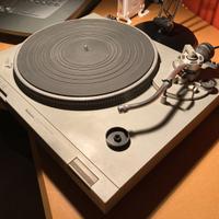 giradischi Technics SL D1