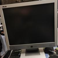 Schermo PC ASUS 19 pollici 4:3