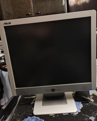 Schermo PC ASUS 19 pollici 4:3