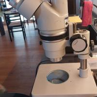 microscopio nikon smz - 10