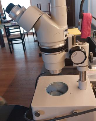 microscopio nikon smz - 10