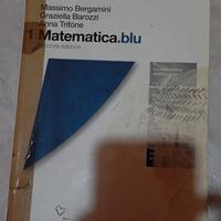 matematica blu 1