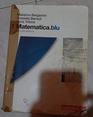 matematica blu 1