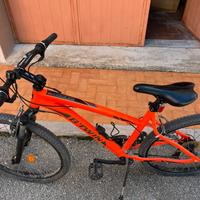 Bicicletta ragazzl
