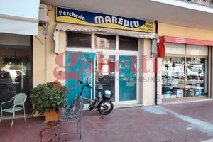 Negozio Venafro [VE RRP46-C72ACG]