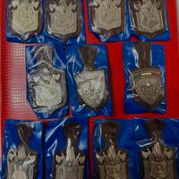 Fregi militari Vigili Del Fuoco volontari ausiliar