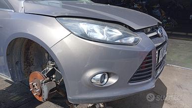 FORD FOCUS MUSATA COMPLETA