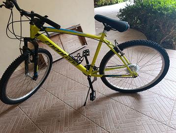 Bicicletta