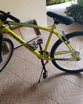 Bicicletta