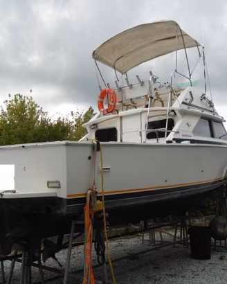 BERTRAM 28 TURBO MOTORI LINEA D'ASSE