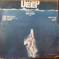 Disco vinile the deep