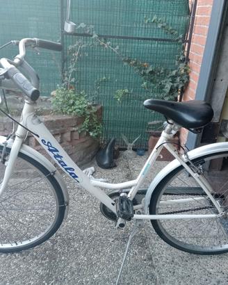 BICICLETTA 26"