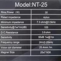 Tweeter Steg modello NT-25.