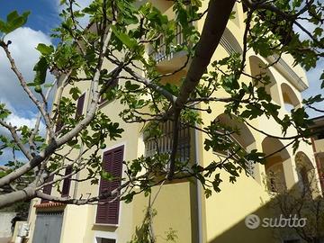 Palazzina - siniscola