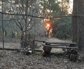 Bosco a Montevettolini con appostameno