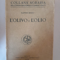 Flaminio Bracci L'OLIVO E L'OLIO Collana agraria