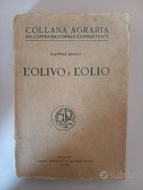 Flaminio Bracci L'OLIVO E L'OLIO Collana agraria
