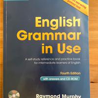 ENGLISH GRAMMAR IN USE