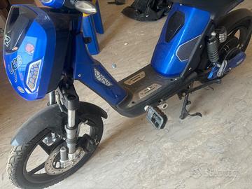 bicicletta elettrica 