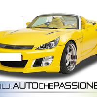Calandra per Opel GT Roadster dal 2007 2009