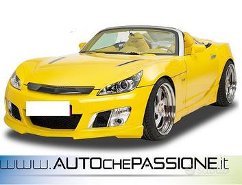 Calandra per Opel GT Roadster dal 2007 2009