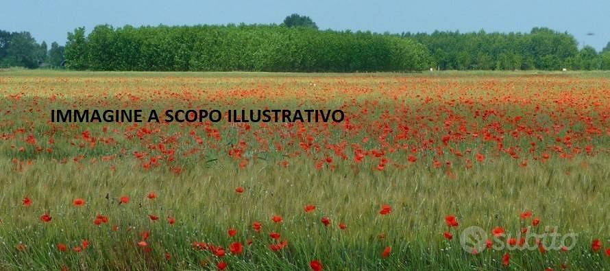 Terreno di 220000 m² a Marta - Vista 3
