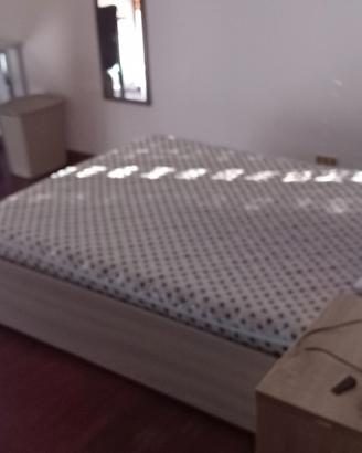 Disponibili stanze singole in zona centrale
