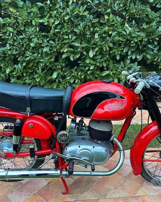 Bianchi Mendola