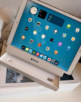 IPad Pro 12,9” 256 GB+ Apple Pencil originale
