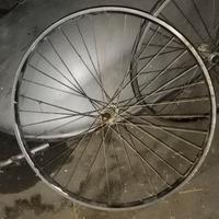 cerchio 29  anteriore bicicletta 