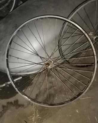cerchio 29  anteriore bicicletta 