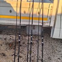 canne da carpfishing