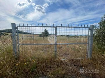 TER. AGRICOLO A MONTEROSI