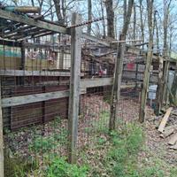 Recinto cani + box auto in legno + ferro