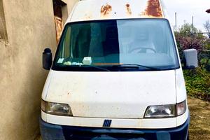 Fiat Ducato cc 2800