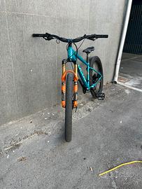Wheelie bike focus Napoli