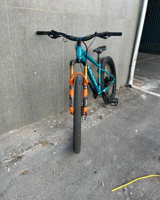 Wheelie bike focus Napoli