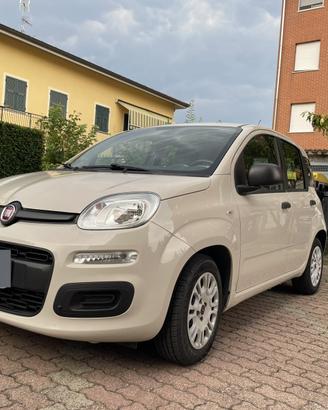 Fiat Panda 1.2 Easy 2015 unico proprietario