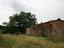 Immagine 3