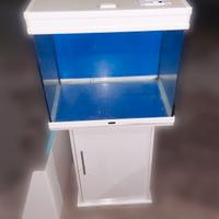 Acquario  e accessori