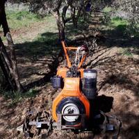 Motozappa 14cv disel