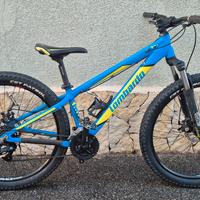 biciclette mtb 